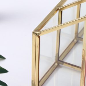 Transparante Gouden Make-up Organizer