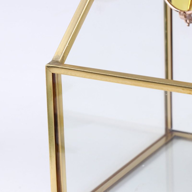 Transparante Gouden Make-up Organizer